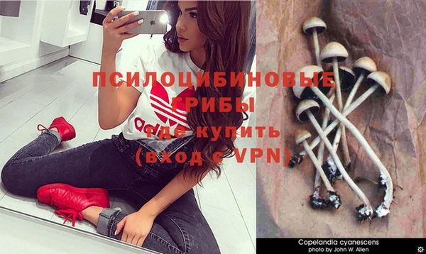 MDMA Зеленокумск
