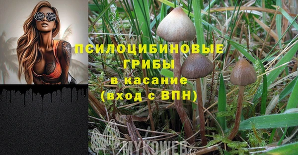 альфа пвп Инсар