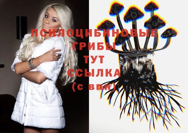 ГАЛЛЮЦИНОГЕННЫЕ ГРИБЫ Зерноград