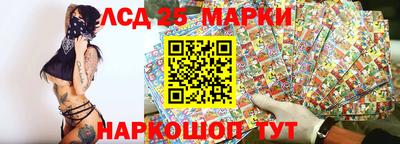 сатива Краснознаменск