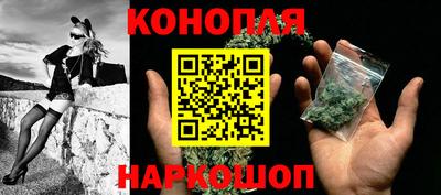 сатива Краснознаменск