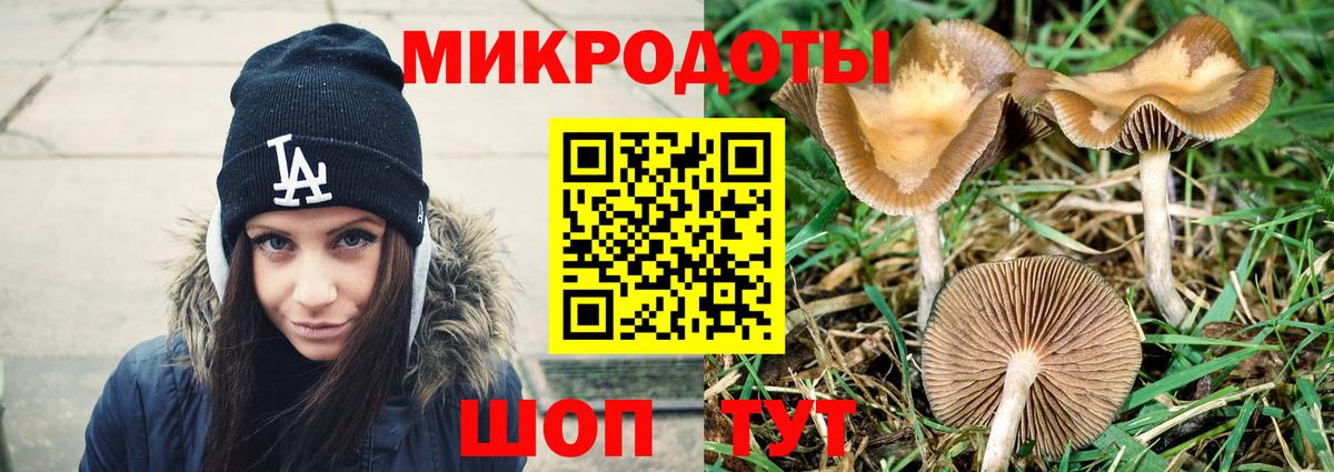 хочу наркоту  Галлюциногенные грибы Cubensis  Вход с VPN  Кудымкар 