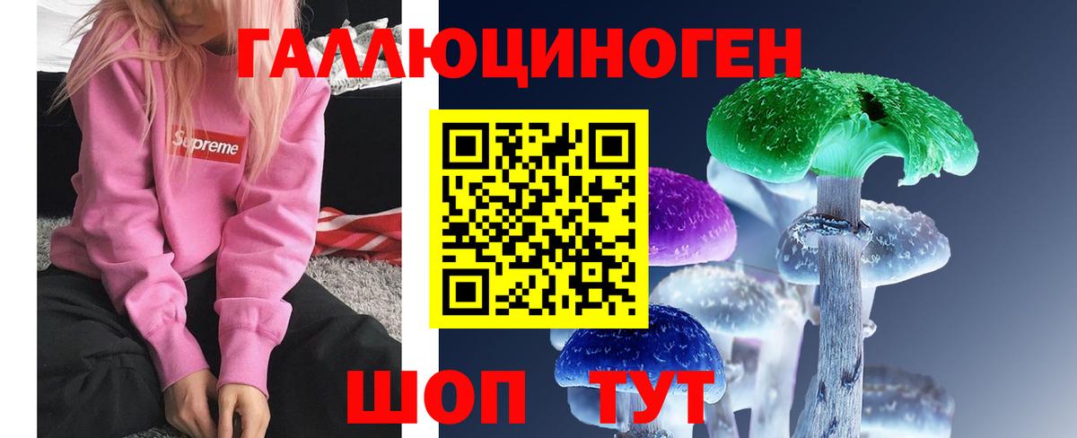 Галлюциногенные грибы Psilocybe Кудымкар